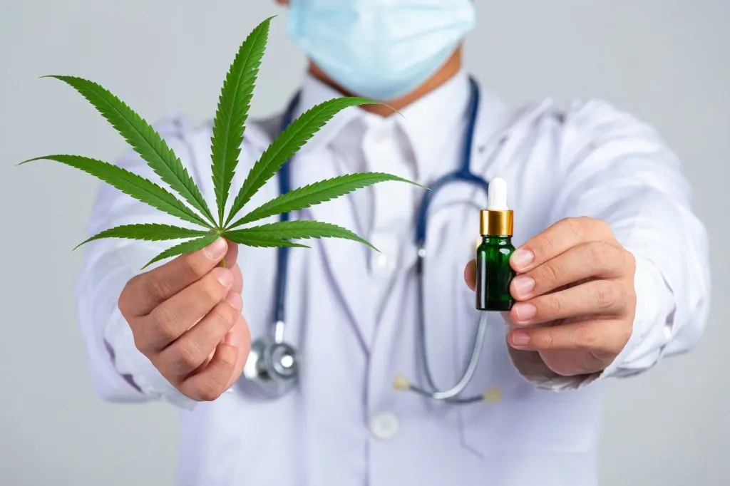 Médico especialista em cannabis medicinal